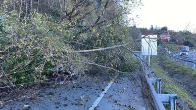 Artvin'de heyelan: Yol trafiğe kapandı