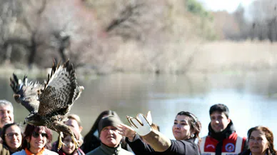 İki Şahin doğaya bırakıldı