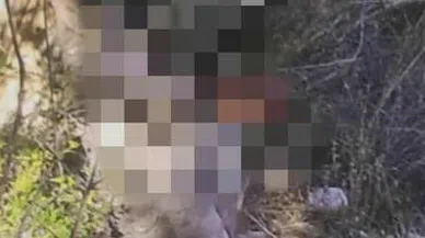 Bıçak üzerindeki kan lekesinden yakayı ele verdi