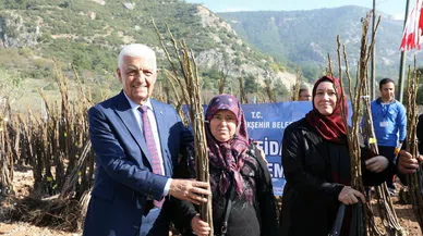 Muğla'da üreticilere 150 binden fazla fidan desteği