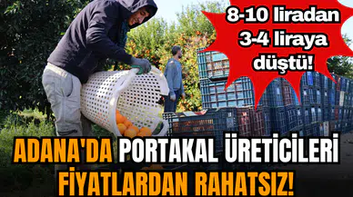 Adana'da portakal üreticileri fiyatlardan rahatsız!