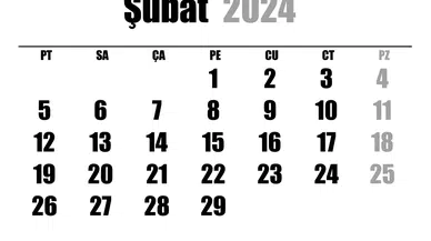 Artık Yıl Nedir ve 2024 Şubat Ayı Kaç Gün?