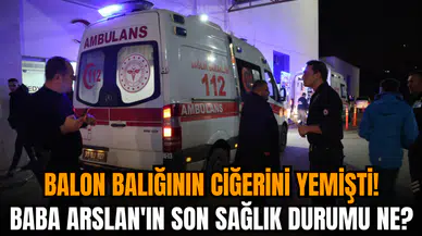 Balon balığının ciğerini yemişti! Baba Arslan'ın son sağlık durumu ne?
