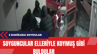 Soyguncular elleriyle koymuş gibi buldular
