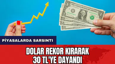 Dolar rekor kırarak 30 TL'ye dayandı