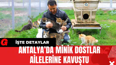Antalya’da Minik Dostlar Ailelerine Kavuştu