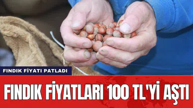 Fındık fiyatları 100 TL'yi aştı