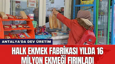 Antalya'da dev üretim: Halk ekmek fabrikası yılda 16 milyon ekmeği fırınladı
