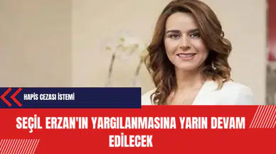 Fatih Terim Fonu davasında Seçil Erzan'ın yargılanmasına yarın devam edilecek