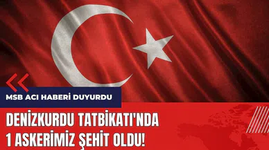 Denizkurdu Tatbikatı'nda 1 askerimiz şehit oldu!