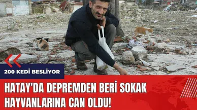 Hatay'da depremden beri sokak hayvanlarına can oldu!