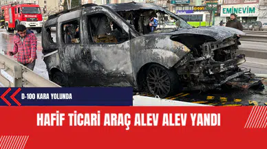 D-100 kara yolunda hafif ticari araç alev alev yandı