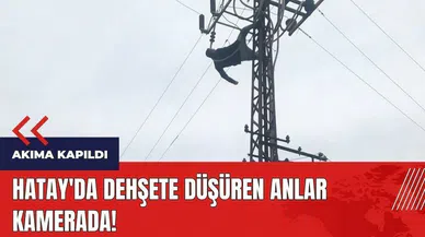 Hatay'da dehşete düşüren anlar kamerada
