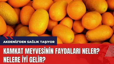 Kamkat meyvesinin faydaları neler? Kamkat nelere iyi gelir?