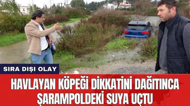 Havlayan köpeği dikkatini dağıtınca şarampoldeki suya uçtu
