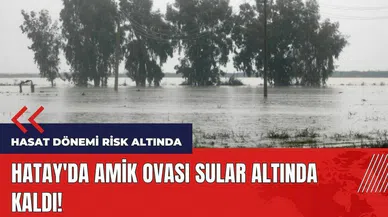Hatay'da Amik Ovası sular altında kaldı