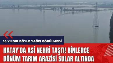 Hatay'da Asi Nehri taştı! Binlerce dönüm tarım arazisi sular altında