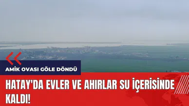 Hatay'da evler ve ahırlar su içerisinde kaldı