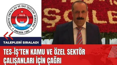 TES-İŞ'ten kamu ve özel sektör çalışanları için çağrı