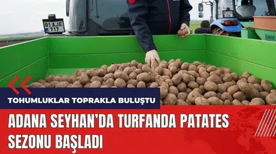Adana'da turfanda patates sezonu başladı