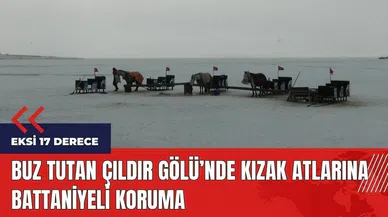 Buz tutan Çıldır Gölü'nde kızak atlarına battaniyeli koruma