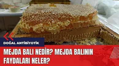 Mejda balı nedir? Mejda balının faydaları neler?