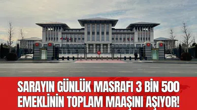 Sarayın günlük masrafı 3 bin 500 emeklinin toplam maaşını aşıyor!