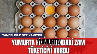 Yumurta fiyatlarındaki zam tüketiciyi vurdu