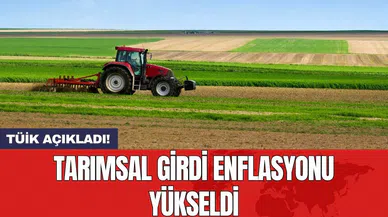 TÜİK açıkladı! Tarımsal girdi enflasyonu yükseldi