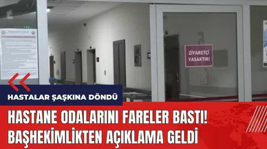 Afyonkarahisar'da hastaneyi fareler bastı! Başhekimlikten açıklama geldi