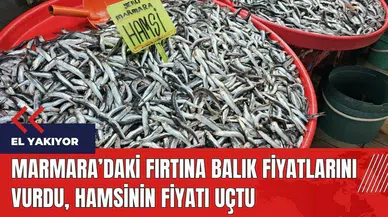 Marmara'daki fırtına balık fiyatlarını vurdu, hamsinin fiyatı uçtu