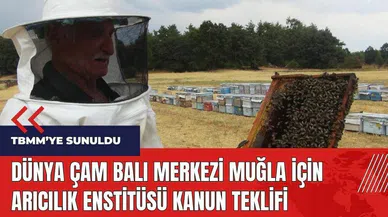 Dünya Çam balı merkezi Muğla için Arıcılık Enstitüsü kanun teklifi