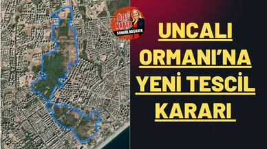 Uncalı Ormanı’na  yeni tescil kararı