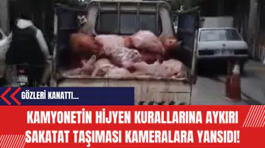 Gözleri kanattı: Kamyonetin Hijyen Kurallarına Aykırı Sakatat Taşıması Kameralara Yansıdı!
