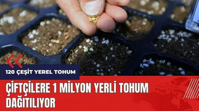 Çiftçilere 1 milyon yerli tohum dağıtılıyor