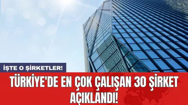 Türkiye'de en çok çalışan 30 şirket açıklandı!