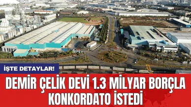 Demir çelik devi 1.3 milyar borçla konkordato istedi