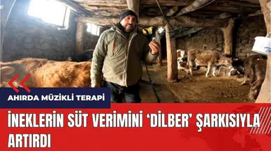 İneklerin süt verimini Dilber şarkısıyla artırdı