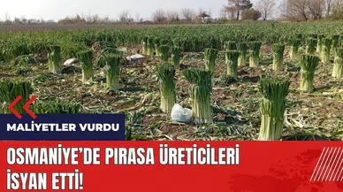 Osmaniye'de pırasa üreticileri isyan etti!