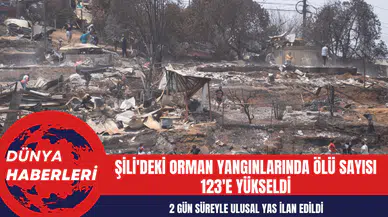 Şili'deki Orman Yangınlarında Ölü Sayısı 123'e Yükseldi