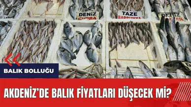 Akdeniz'de balık bolluğu! Balık fiyatları düşecek mi?