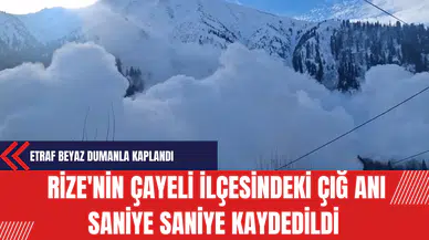 Rize'nin Çayeli ilçesindeki Çığ Anı Saniye Saniye Kaydedildi