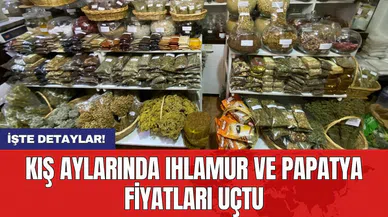 Kış aylarında ıhlamur ve papatya fiyatları uçtu