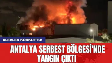 Alevler Korkuttu! Antalya Serbest Bölgesi'nde Yangın Çıktı