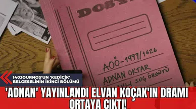 140Journos'un 'Kedicik' Belgeselinin İkinci Bölümü: 'Adnan' Yayınlandı Elvan Koçak'ın Dramı Ortaya Çıktı