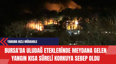 Bursa'da Uludağ Eteklerinde Meydana Gelen Yangın Kısa Süreli Korkuya Sebep Oldu