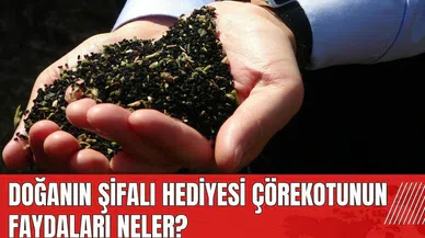 Doğanın şifalı hediyesi çörekotunun faydaları neler?
