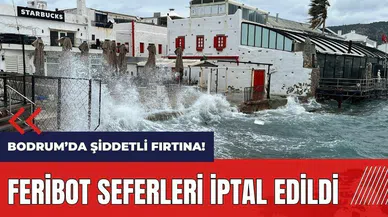 Bodrum'da şiddetli fırtına! Feribot seferleri iptal edildi
