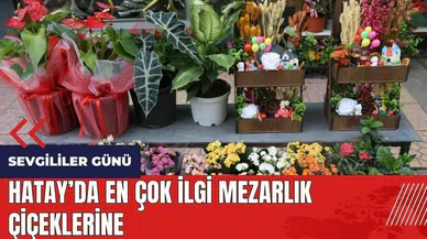 Hatay'da en çok ilgi mezarlık çiçeklerine