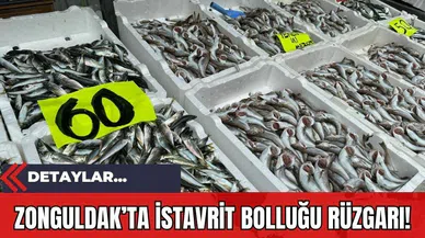 Zonguldak’ta İstavrit Bolluğu Rüzgarı!
